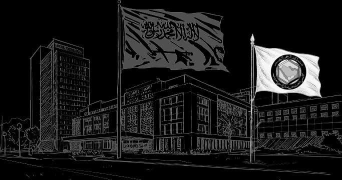 The Saudi & GCC Market Program